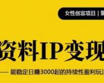 资料IP变现,能稳定日赚3000起的持续性盈利玩法-最全项目网