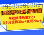 21天视频号变现特训营：单视频播放量2亿+3个月涨粉30w+变现20w+（第14期）-最全项目网