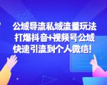 公域导流私域流量玩法:打爆抖音+视频号公域,快速引流到个人微信!-最全项目网
