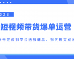 2023短视频带货爆单运营,从账号定位到学会选预爆品,到代理完成出单(价值1250元)-最全项目网