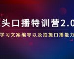 镜头口播特训营2.0版，学习文案编导以及拍摄口播能力（50节课时）-最全项目网