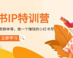 小红书IP特训营：从搭建-制作-爆款脚本等等，做一个赚钱的小红书号-最全项目网