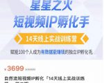 瑶瑶·自然流短视频IP孵化第二期,14天线上实战训练营,赋能100个人成为有数据能赚钱的独立IP孵化手-最全项目网