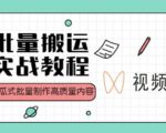 视频号批量搬运实战操作运营赚钱教程,傻瓜式批量制作高质量内容【附视频教程+PPT】-最全项目网