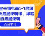 大圣淘宝天猫电商1-7层级盈利增长底层逻辑课，爆款的底层逻辑-最全项目网