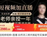 张越·短视频+直播,自然流三频共振起号实操课,短视频所有流量玩法讲解-最全项目网
