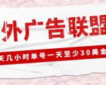 外面收费1980的最新国外LEAD广告联盟搬砖项目，单号一天至少30美金【详细玩法教程】-最全项目网
