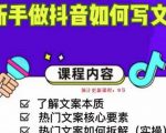 新手做抖音如何写文案,手把手实操如何拆解热门文案-最全项目网