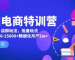 美团电商特训营:美团·店群玩法,无脑铺货月产出6000-15000+精细化月产2w+-最全项目网