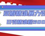 豆瓣精准暴力引流,日引精准粉500+【12课时】-最全项目网