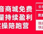 抖音商城搜索持续盈利陪跑成长营，抖音商城搜索从0-1、从1到10的全面解决方案-最全项目网