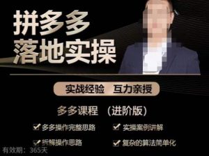 拼多多实战篇·落地实操：多多操作完整思路+实操案例讲解+拆解操作思路+复杂的算法简单化-最全项目网