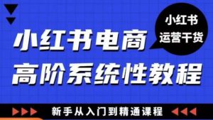 小红书电商高阶系统教程,新手从入门到精通系统课-最全项目网