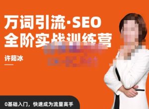 许茹冰·万词引流-SEO全阶实战训练营,0基础入门,快速成为流量高手-最全项目网