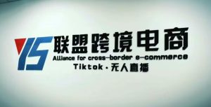 YS联盟·Tiktok无人直播，不出镜不剪辑不拍摄不发货无售后的跨境短视频躺赚玩法-最全项目网