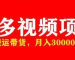 多多带货视频快速50爆款拿带货资格，搬运带货，月入30000【全套脚本+详细玩法】-最全项目网