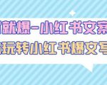 一写就爆-小红书文案课：带你玩转小红收爆文写作（45节课）-最全项目网