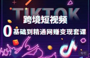 跨境短视频TIKTOK 0基础到精通网赚变现套课，跨境短视频独立站带货变现技巧-最全项目网