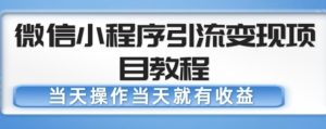 微信小程序引流变现项目教程，当天操作当天就有收益，变现不再是难事-最全项目网