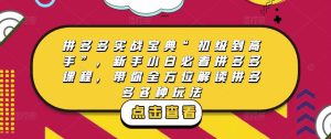 拼多多实战宝典“初级到高手”，新手小白必看拼多多课程，带你全方位解读拼多多各种玩法-最全项目网