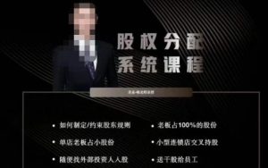 韩老师聊美业-美业股权分配系统课程，如何制定约束股东规则+老板占100%的股份+单店老板占小股份等-最全项目网