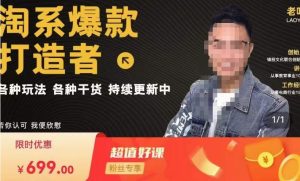 锋投老叶全店动销,淘系干货汇总,各种玩法,淘系爆款打造者-最全项目网