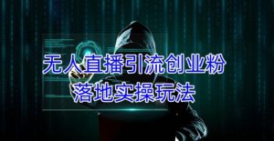 外面收费3980的无人直播引流创业粉落地实操玩法，单日引100+精准创业粉-最全项目网