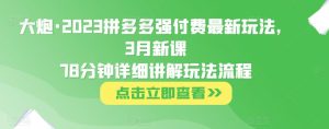 大炮·2023拼多多强付费最新玩法，3月新课​78分钟详细讲解玩法流程-最全项目网