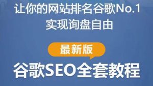 谷歌SEO实战教程：如何让你的网站在谷歌排名第一，内容从入门到高阶，适合个人及团队-最全项目网
