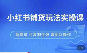 小红书铺货玩法实操课，流量大，竞争小，非常好做，新赛道，可复制性强，可团队操作-最全项目网