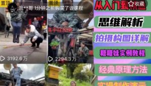 东方糖糖妹抖音短视频全套实战课思维+拍摄+剪辑+运营，从入门到精通-最全项目网