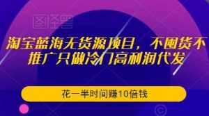 淘宝蓝海无货源项目，不囤货不推广只做冷门高利润代发，花一半时间赚10倍钱-最全项目网