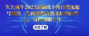 久久疯牛2023最新线上纯自然流起号课程，老杨是把自然流玩明白的人，可以闭眼上车-最全项目网