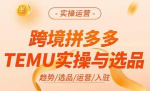 跨境拼多多TEMU实操与选品，​掌握平台运营方法技巧，选品避坑12条标准，爆款的底层思路等-最全项目网