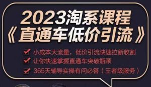 2023直通车低价引流玩法课程，小成本大流量，低价引流快速拉新收割，让你快速掌握直通车突破瓶颈-最全项目网