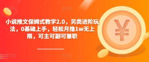 小说推文保姆式教学2.0，另类进阶玩法，0基础上手，轻松月撸1w无上限，可主可副可兼职-最全项目网