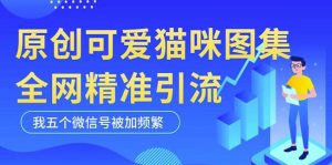 黑科技纯原创可爱猫咪图片，全网精准引流，实操5个VX号被加频繁-最全项目网