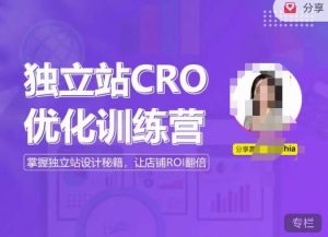 独立站CRO优化训练营，掌握独立站设计秘籍，打造高转化的独立站，让店铺ROI翻倍-最全项目网
