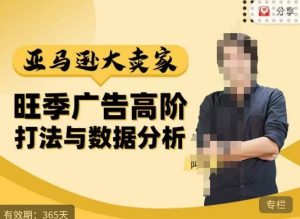阿甘·亚马逊大卖家广告高阶打法与数据分析，走出传统广告误区；揭秘大卖惯用打法；数据驱动广告决策-最全项目网