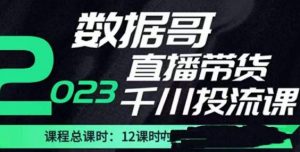 数据哥2023直播电商巨量千川付费投流实操课，快速掌握直播带货运营投放策略-最全项目网