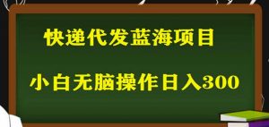 2023最新蓝海快递代发项目，小白零成本照抄也能日入300+-最全项目网