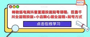 峰教练电商抖音直播投流起号课程：巨量千川全流程投放+小店随心推全流程+起号方式-最全项目网