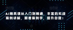AI精英课从入门到精通,丰富的实战案例讲解,跟着案例学,提升自我!-最全项目网