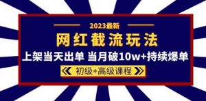 2023网红·同款截流玩法【初级+高级课程】上架当天出单当月破10w+持续爆单-最全项目网