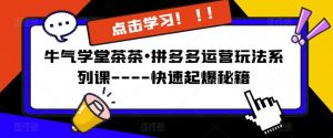 牛气学堂茶茶•拼多多运营玩法系列课—-快速起爆秘籍【更新】-最全项目网