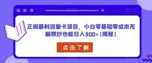 正规暴利流量卡项目，小白零基础零成本无脑照抄也能日入300+【揭秘】-最全项目网