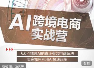 白龙老师·AI跨境电商实战营:从0-1精通Al的真正有效电商玩法,卖家如何利用Al快速超车-最全项目网