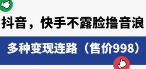 抖音快手不露脸撸音浪项目,多种变现连路(售价998)-最全项目网