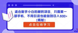 适合新手小白的搬砖项目,只需要一部手机、不用引流也能做到日入300+【揭秘】-最全项目网