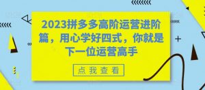2023拼多多高阶运营进阶篇,用心学好四式,你就是下一位运营高手-最全项目网